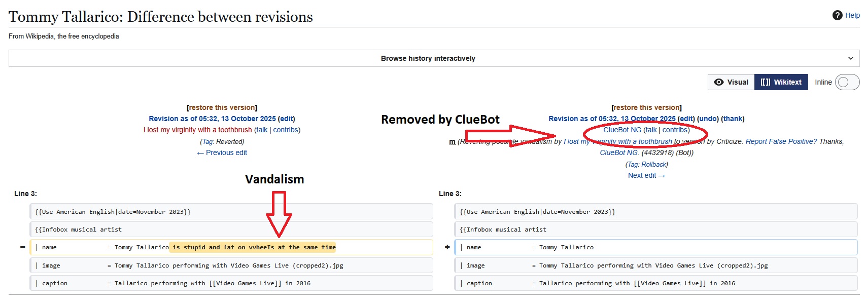 CluBot Removing Vandalism on Wikipedia